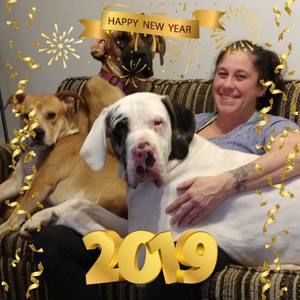 Meet your Posher, Dawn